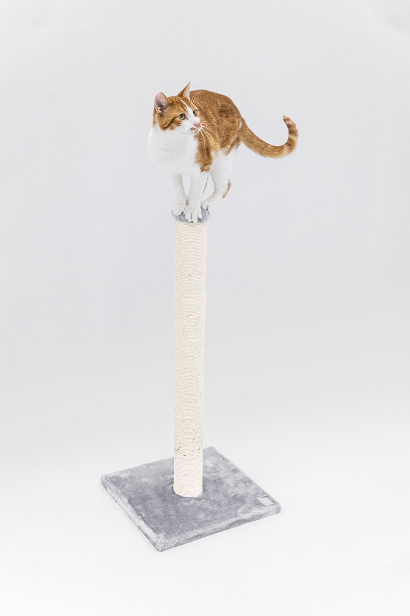  Petrebels Maine 90 Krabpaal - Grijs - 40 X 40 X 90 Cm - Extra Stabiel