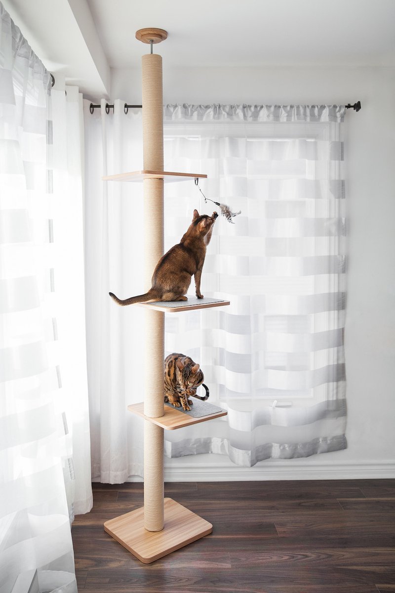  BeOneBreed Katt3 EVO Tower - Krabpaal Voor Katten Van Vloer Tot Plafond – Inclusief 3 Vilten Matjes En Hangspeeltje - Gelamineerd Hout - Maximale Hoogte 254 Cm