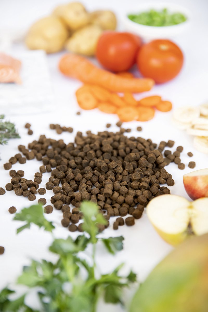  Kivo Petfood Kattenbrokken Verse Zalm - 5 Kg - Graanvrij