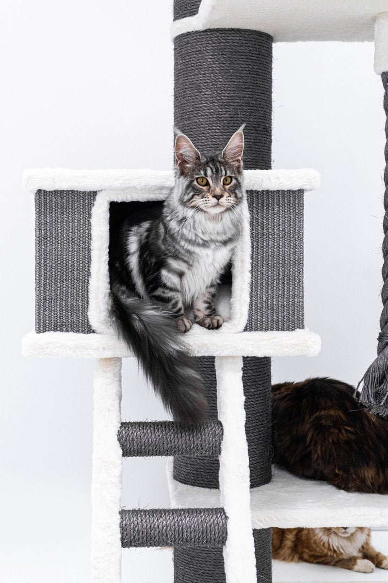  Petrebels Ragdoll 200 Krabpaal Voor Grote Katten - Off White - 20 Cm Stam