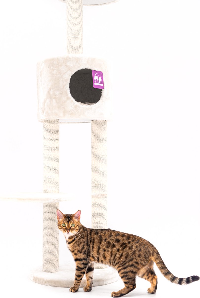  Petrebels Anna 240 Krabpaal - Creme - 240 Tot 265 Cm - Met Plafondspanner