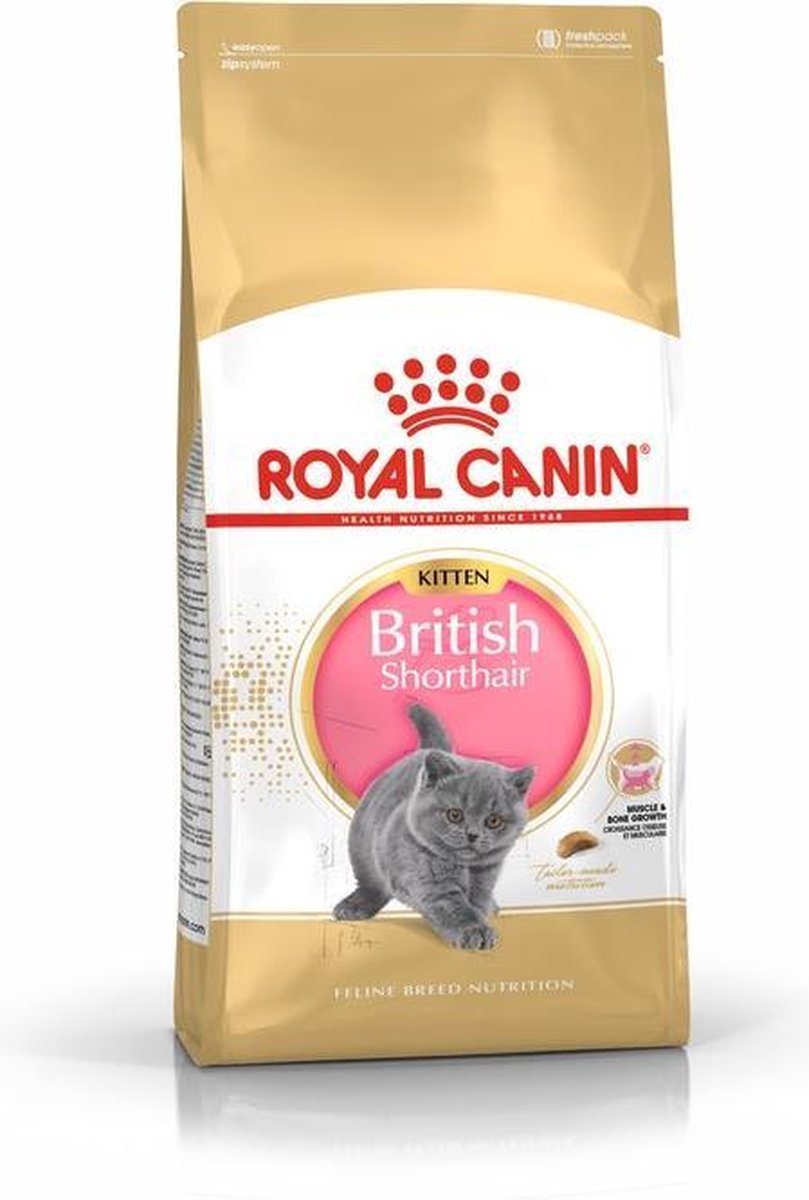  Royal Canin British Shorthair Kitten - 2 Kg