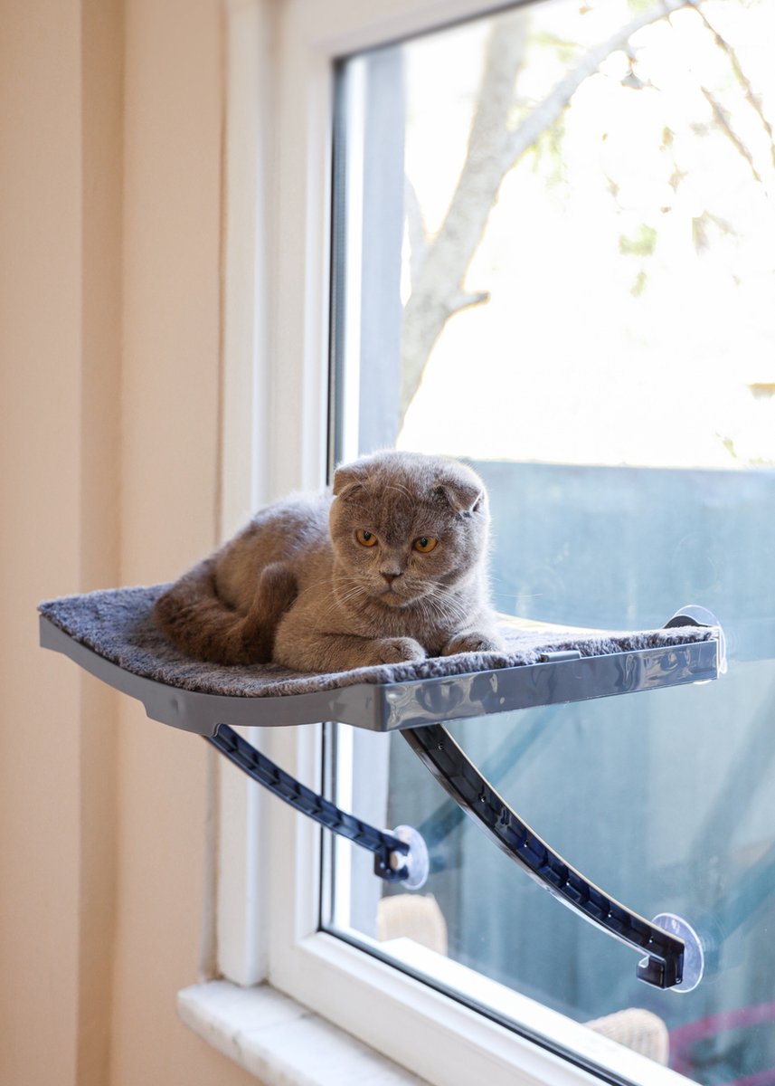  Hobipets - Kattenmand Raam - 5 Zuignappen - Hangmat Kat Raam