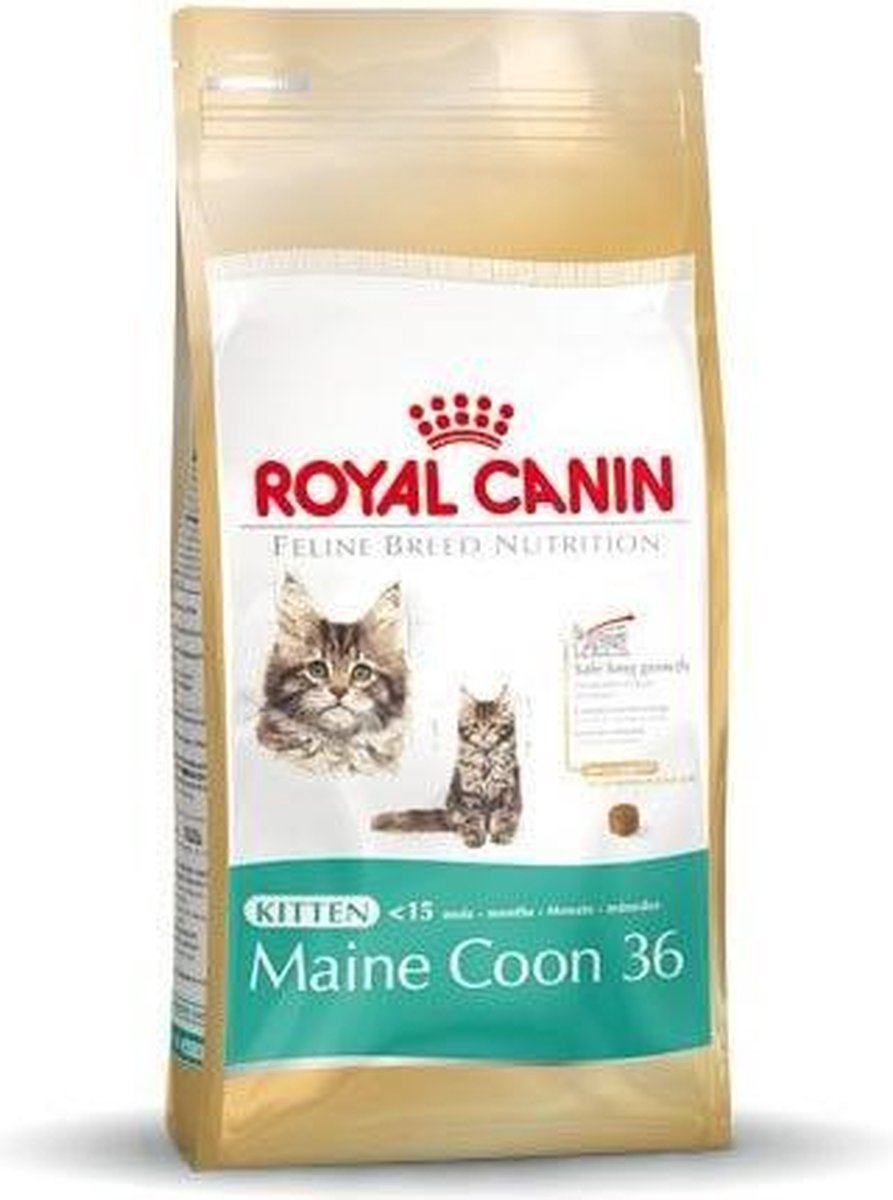  Royal Canin Maine Coon Kitten - Kattenvoer - 4 Kg