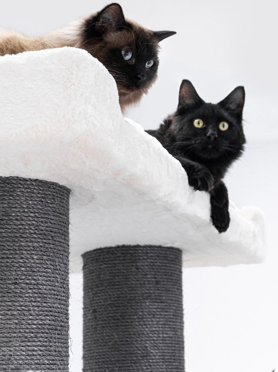  Petrebels Ragdoll 200 Krabpaal Voor Grote Katten - Off White - 20 Cm Stam