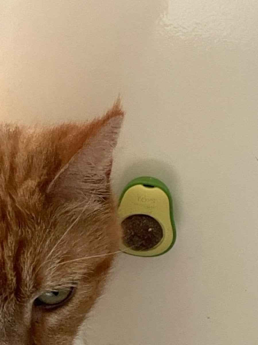  PerfectPlant - Kattenbal - Catnipbal - Avocado - Natuurlijk - Katten - Speelgoed - Catnip - Haarbal - Likken - Mint - Bal - Spelen - Slechte Adem