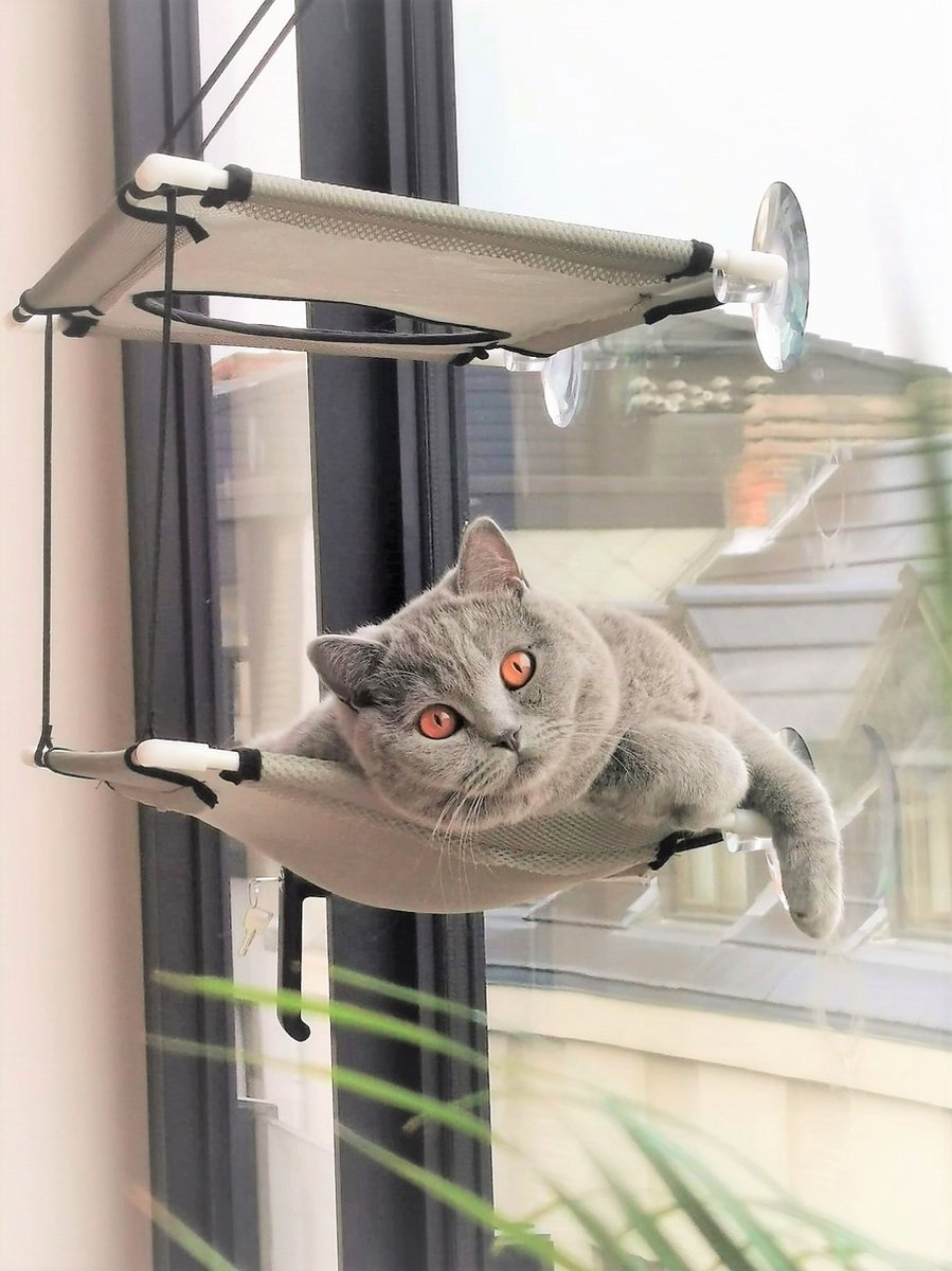  Cas &amp; Lux Relaxerende Hangmat Voor Katten - Inclusief 2 Niveau's Met Sterke 30kg Draagkracht - Kattenhangmat - Kattenhangmat Raam – Kattenmand - Kattenhuis - Kattenkussen - Hangmat Kat - Kattenbed
