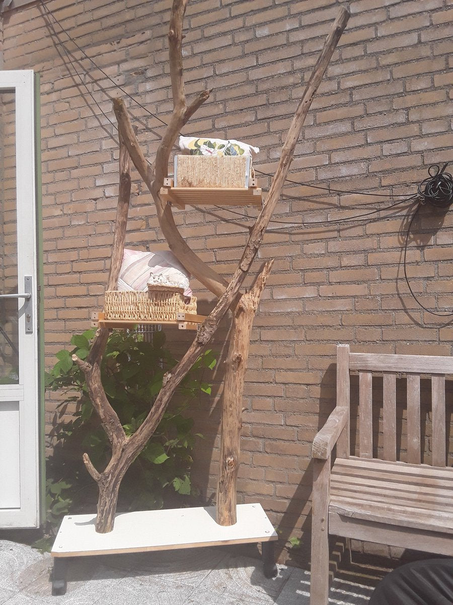  Natuurlijke Klimboom, Krabpaal