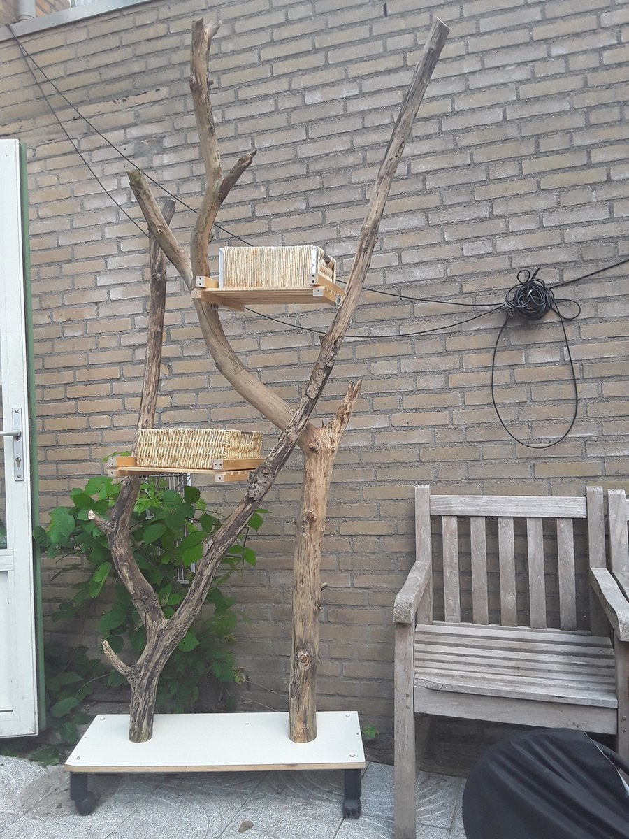  Natuurlijke Klimboom, Krabpaal