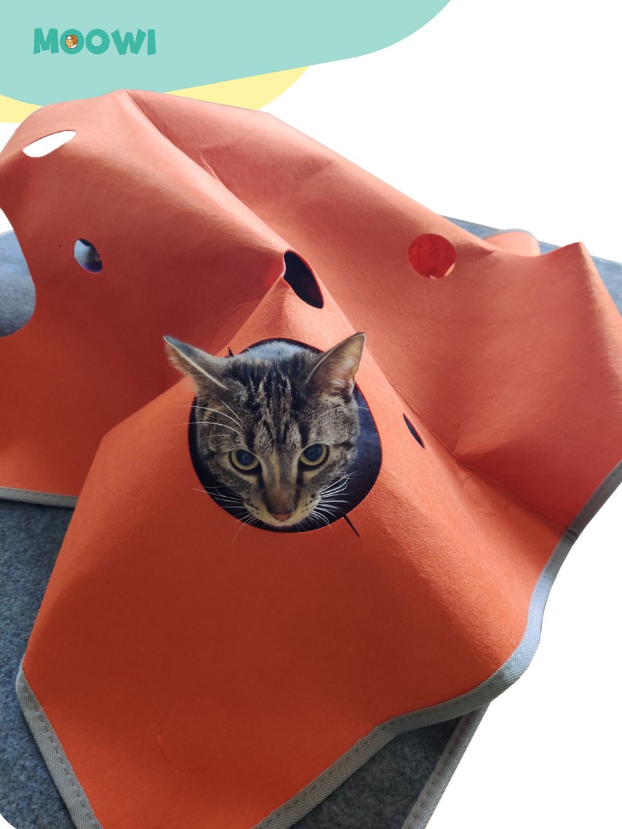  Moowi - Katten Speel Kleed – Kattentunnel – Hide And Seek Spel – Deken Kat – Kattenspeelgoed – Speelmat Katten Grijs – Incl. 2 Sisal Ballen En Verenspeeltje
