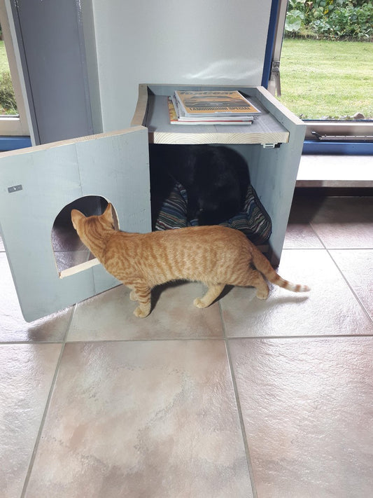  Bronneger Exclusive - Kattenhuis - XXL - Kattenbak Ombouw Kast - Kattenmand