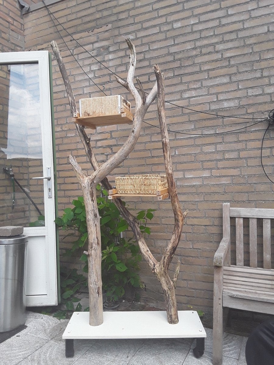  Natuurlijke Klimboom, Krabpaal