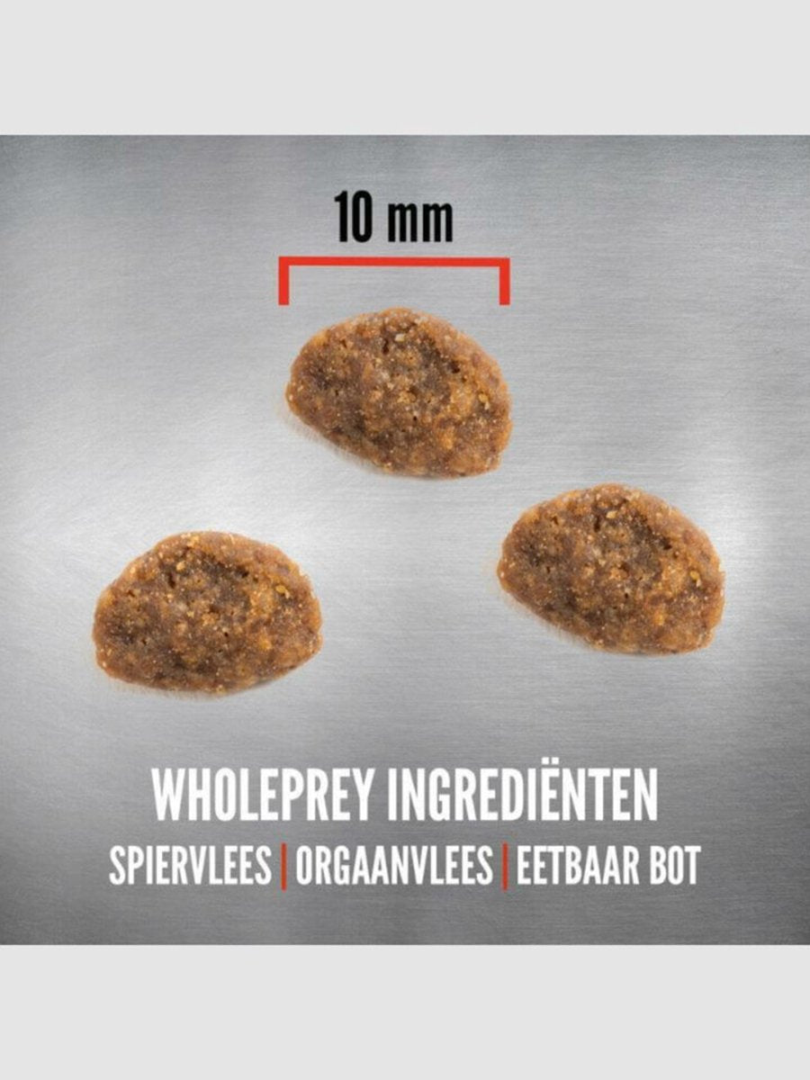  Orijen Cat &amp; Kitten - Kattenvoer - 5,4 Kg