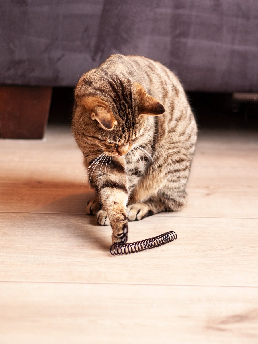  Kattenveertjes Klein - 10 Stuks | Zwart Wit | Kattenspeeltjes | Kattenspeelgoed