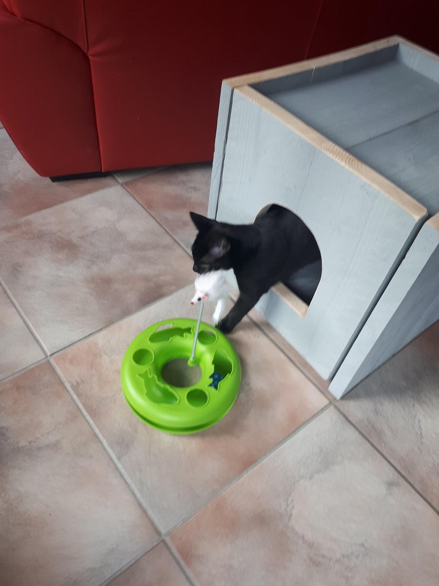  Bronneger Exclusive - Kattenhuis - XXL - Kattenbak Ombouw Kast - Kattenmand
