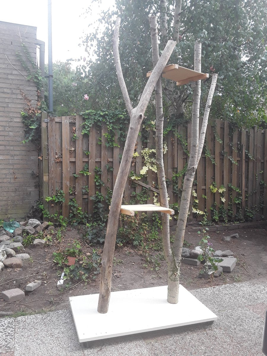  Natuurlijke Klimboom, Krabpaal