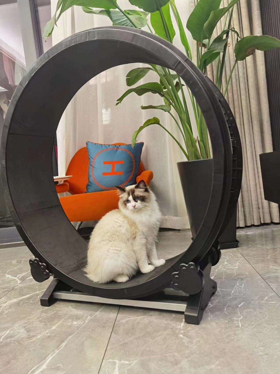 Merkloos Petlux - Looprad / Loopwiel Voor Kat - Kattenspeelgoed -