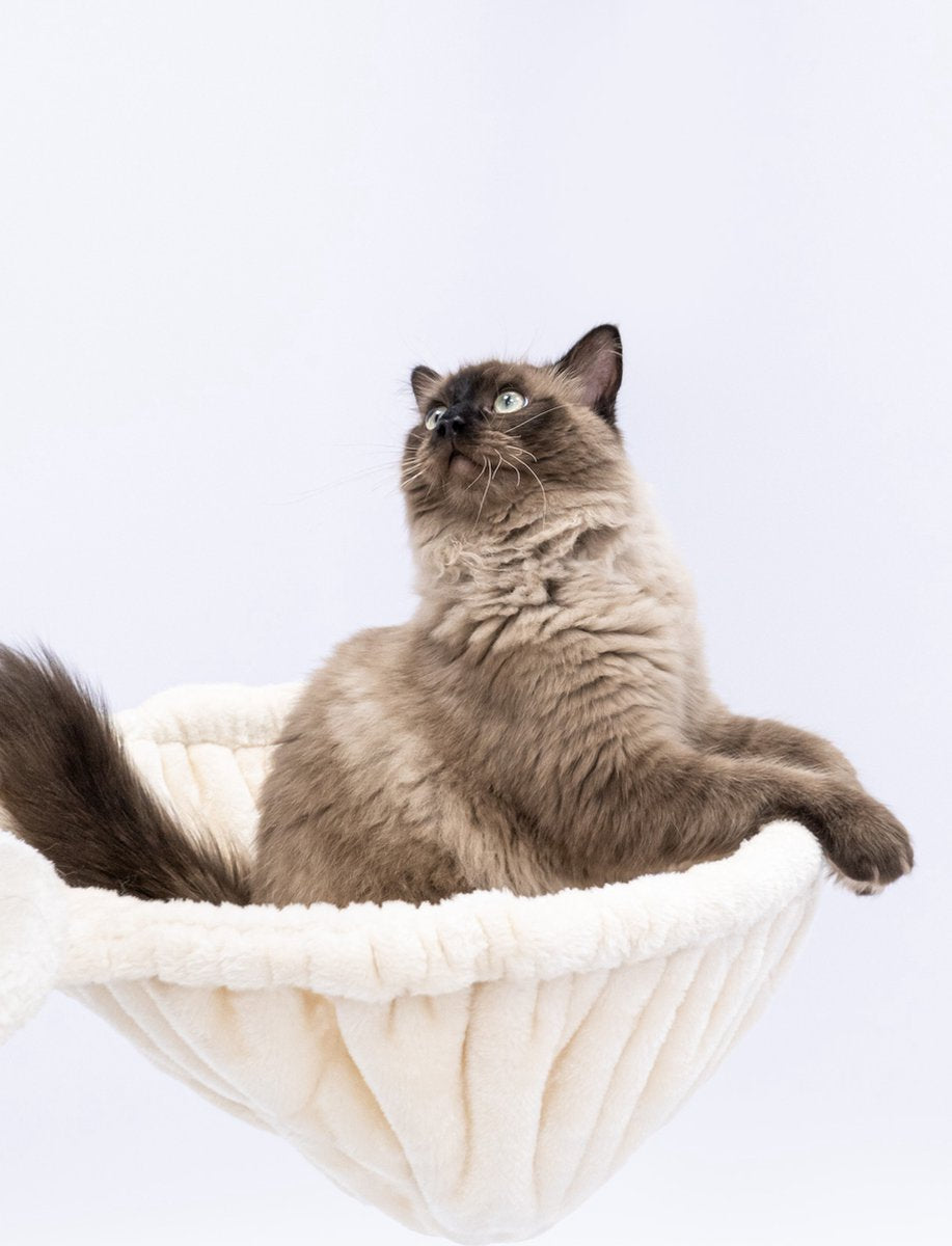  Petrebels Catharina 160 Krabpaal - Creme - 2 Hangmatten - Grote Katten