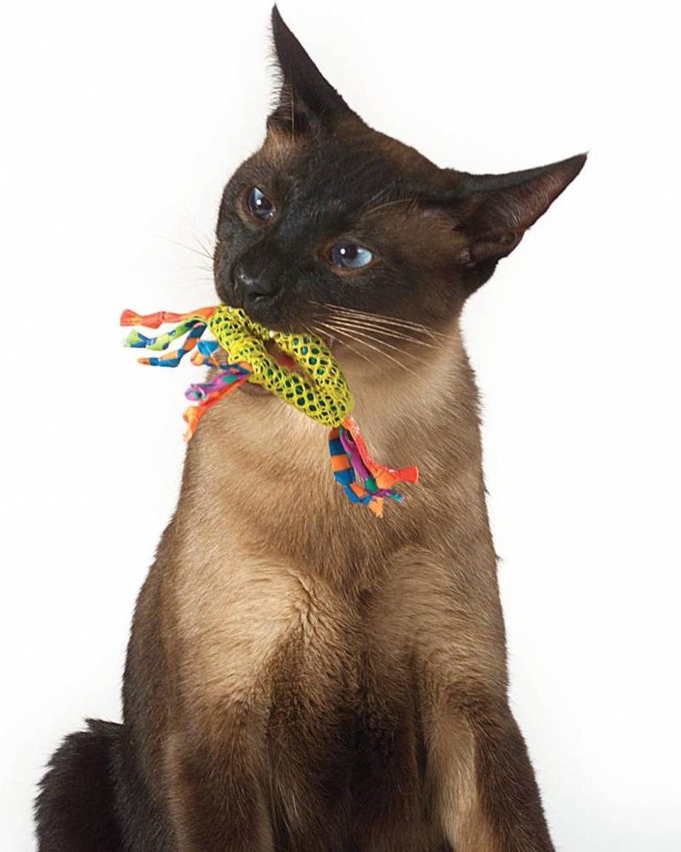  Petstages Dental Health Chew Kattenspeelgoed - Catnip