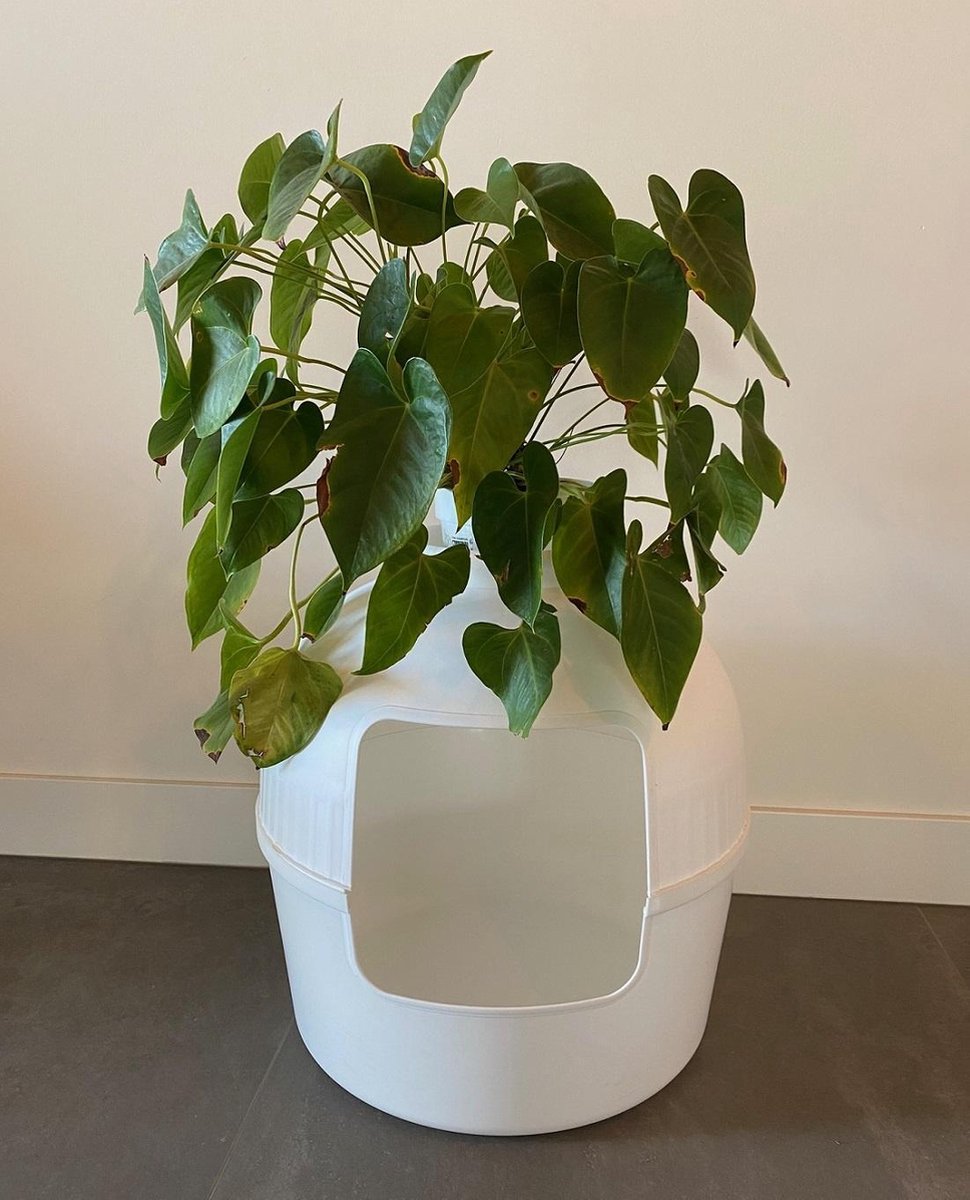  XXL Kattenbak – Verborgen Kattentoilet – Flower XXL Wit Voor Grote Katten Van RHRQuality